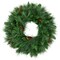 Northlight Mixed White Valley Pine with Pine Cones Artificial Christmas Wreath - 24" - Unlit